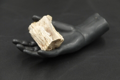 Black Ceramic Hand with Petrified Wood