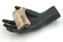 Black Hand2