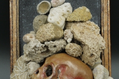 Skull_w_fossils
