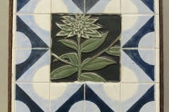 plant-with-tiles
